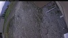 Web Cam Image - Mon, 05/11/2026 7:00pm PDT