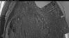Web Cam Image - Sun, 05/17/2026 4:04am PDT