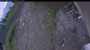 Web Cam Image - Fri, 06/05/2026 3:34pm PDT