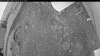 Web Cam Image - Fri, 06/12/2026 7:59pm PDT