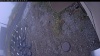 Web Cam Image - Mon, 10/20/2025 1:49pm PDT