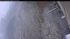 Web Cam Image - Mon, 05/11/2026 6:29am PDT