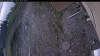 Web Cam Image - Sun, 05/24/2026 5:29am PDT