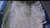 Web Cam Image - Sun, 06/14/2026 11:09am PDT