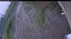 Web Cam Image - Fri, 06/26/2026 10:24am PDT