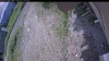 Web Cam Image - Sat, 06/27/2026 11:49am PDT