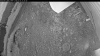 Web Cam Image - Fri, 07/03/2026 8:04pm PDT