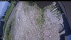 Web Cam Image - Mon, 07/06/2026 11:29am PDT