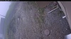 Web Cam Image - Tue, 05/19/2026 9:14am PDT