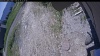 Web Cam Image - Sun, 06/14/2026 11:04am PDT