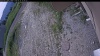 Web Cam Image - Thu, 06/25/2026 8:29am PDT