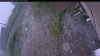 Web Cam Image - Wed, 07/01/2026 5:19am PDT