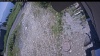 Web Cam Image - Mon, 07/06/2026 11:24am PDT