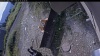 Web Cam Image - Mon, 08/31/2026 9:59am PDT