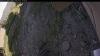 Web Cam Image - Tue, 07/01/2025 12:49pm PDT