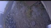 Web Cam Image - Mon, 10/20/2025 1:39pm PDT