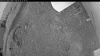 Web Cam Image - Wed, 06/24/2026 8:04pm PDT