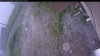 Web Cam Image - Wed, 07/01/2026 5:14am PDT