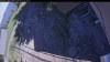 Web Cam Image - Thu, 06/11/2026 3:34pm PDT