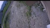 Web Cam Image - Thu, 06/25/2026 8:19am PDT