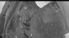 Web Cam Image - Sat, 04/26/2025 10:39pm PDT