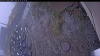Web Cam Image - Mon, 10/20/2025 1:29pm PDT
