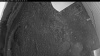 Web Cam Image - Mon, 06/01/2026 3:44am PDT