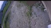 Web Cam Image - Thu, 06/25/2026 8:14am PDT
