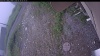 Web Cam Image - Tue, 06/30/2026 4:34am PDT