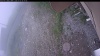 Web Cam Image - Thu, 07/02/2026 7:04am PDT
