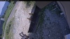 Web Cam Image - Mon, 07/13/2026 12:44pm PDT