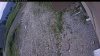 Web Cam Image - Thu, 06/25/2026 8:09am PDT