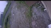 Web Cam Image - Sat, 07/04/2026 7:44am PDT