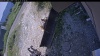 Web Cam Image - Mon, 07/13/2026 12:39pm PDT