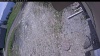 Web Cam Image - Sun, 05/24/2026 11:29am PDT
