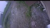 Web Cam Image - Wed, 07/01/2026 4:54am PDT