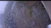 Web Cam Image - Mon, 10/20/2025 1:14pm PDT