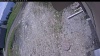 Web Cam Image - Sun, 05/24/2026 11:24am PDT