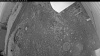 Web Cam Image - Sat, 06/06/2026 2:19pm PDT