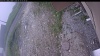 Web Cam Image - Wed, 06/17/2026 5:54am PDT