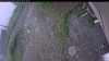 Web Cam Image - Tue, 06/30/2026 4:19am PDT