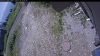 Web Cam Image - Mon, 07/06/2026 10:54am PDT