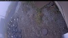 Web Cam Image - Mon, 10/20/2025 1:09pm PDT