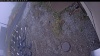 Web Cam Image - Mon, 10/20/2025 1:04pm PDT