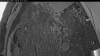 Web Cam Image - Thu, 06/11/2026 3:04am PDT