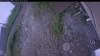 Web Cam Image - Wed, 07/01/2026 4:39am PDT