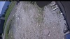 Web Cam Image - Sun, 05/31/2026 11:49am PDT
