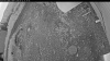 Web Cam Image - Fri, 06/12/2026 7:54pm PDT