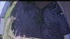 Web Cam Image - Thu, 06/11/2026 2:59pm PDT