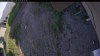 Web Cam Image - Mon, 06/22/2026 5:24pm PDT